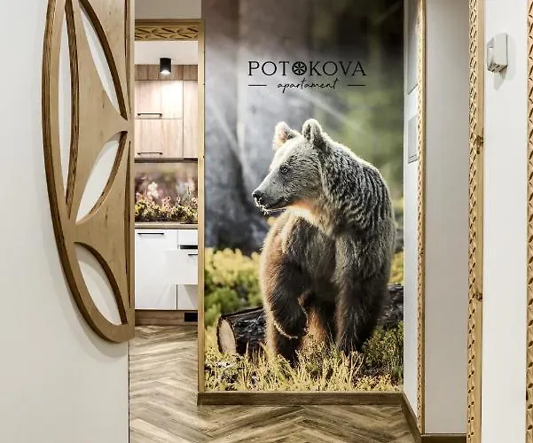 Potokova Centrum Zakopane