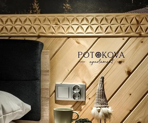 Daire Potokova Centrum