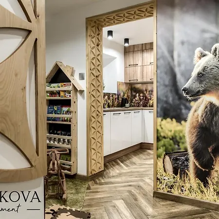 Apartment Potokova Centrum