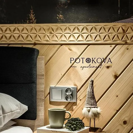Apartment Potokova Centrum