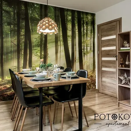 Potokova Centrum زاكوباني