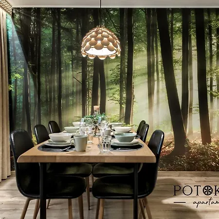 Potokova Centrum Apartman Zakopane