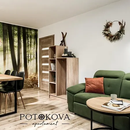 Potokova Centrum Apartamento *