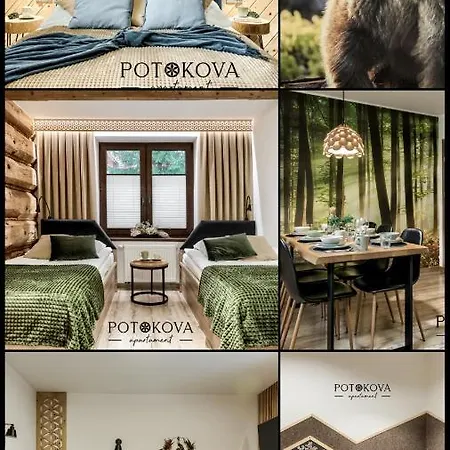Potokova Centrum Apartamento Zakopane