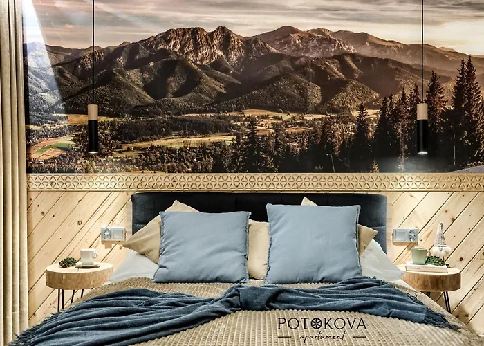 Potokova Centrum ザコパネ