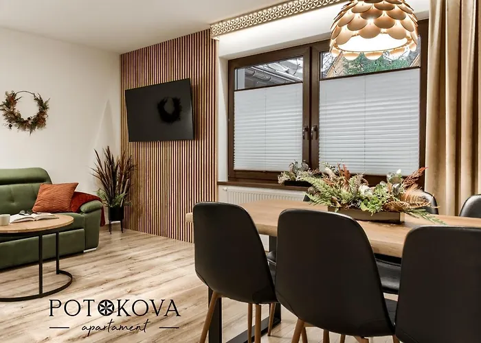 Potokova Centrum アパート *