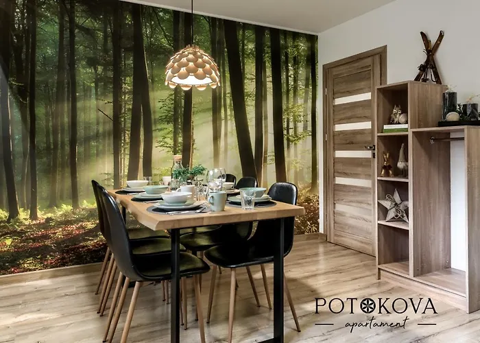 Potokova Centrum ザコパネ