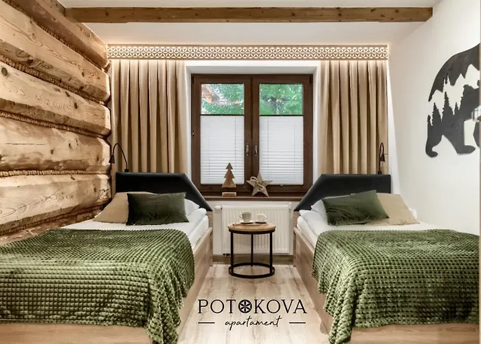 Potokova Centrum アパート ザコパネ