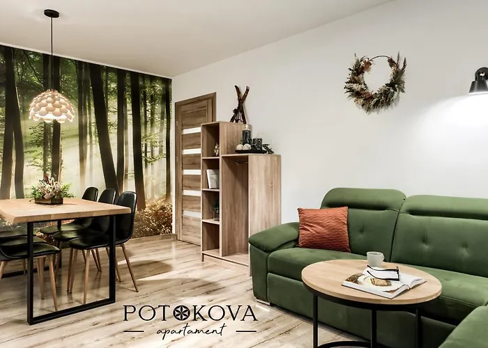 Potokova Centrum アパート *