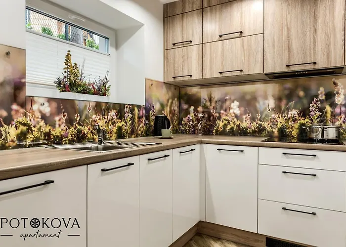 アパート Potokova Centrum ザコパネ